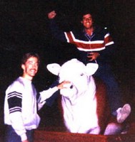 Bryan Walcott, Mark Salamy and Cow